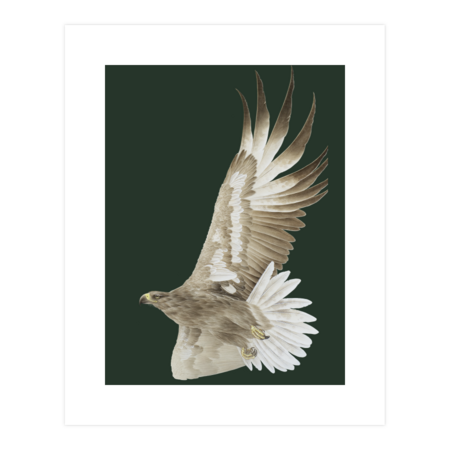 Prairie Eagle by WhitePearl
