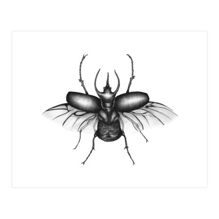 Beetle Wings by ECMazur