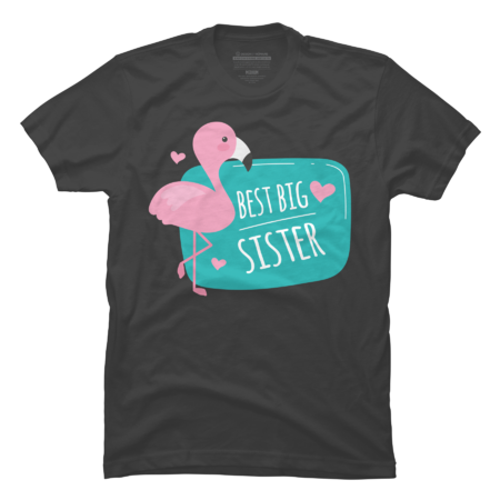 Big Sister T-Shirt | Whimsical Flamingo Sibling Tees