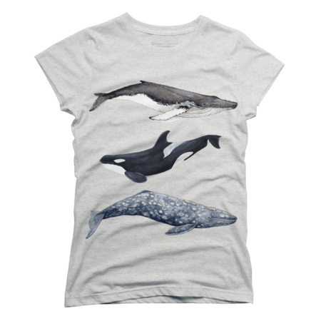Orca, grey and humpback whales by chloeyzoard