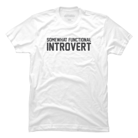 Somewhat Functional Introvert