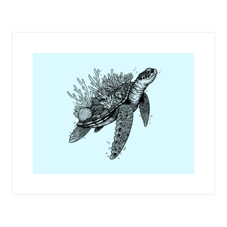 Coral Turtle by WKolinska