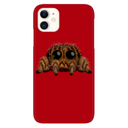 Tigger the Jumping Tiger Spider by comdo99