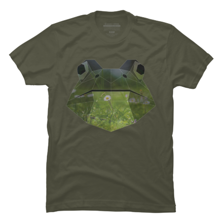 Low Poly Double Exposure of a Frog