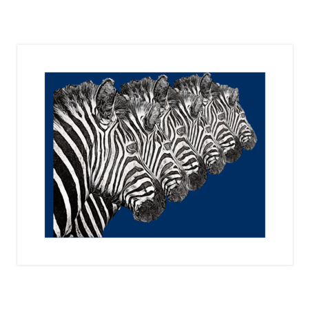 Zebra Team by painterfrankie